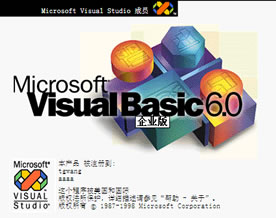 Visual Basic 集成开发环境的元素