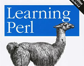 perl语言详解