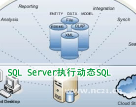 详解SQL Server执行动态SQL两种正确方式