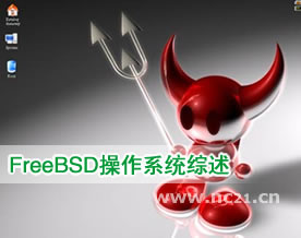 技术指南：FreeBSD操作系统综述